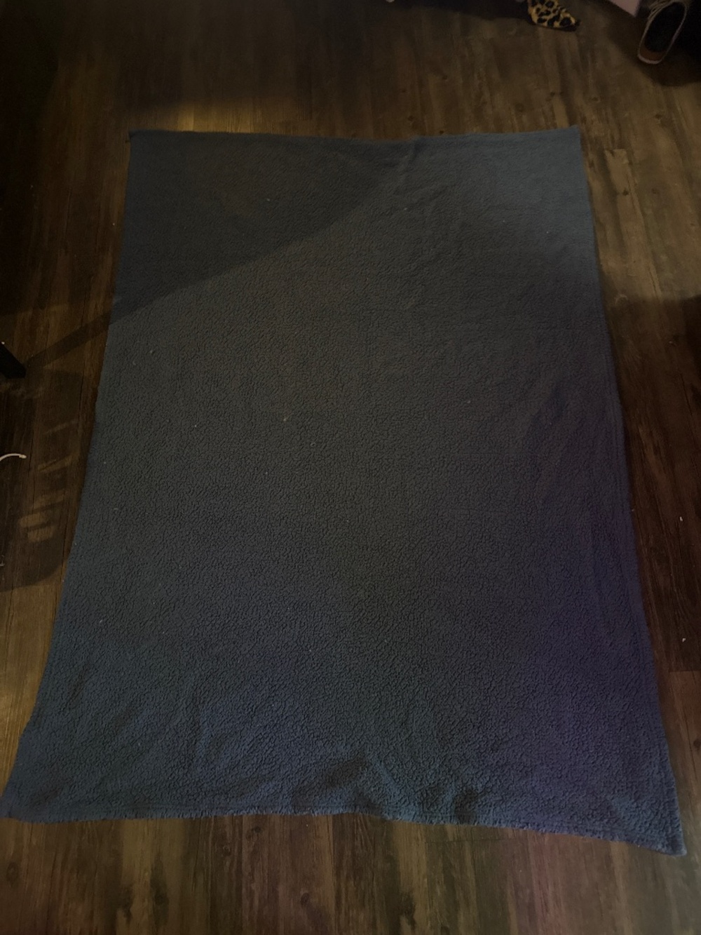 blanket